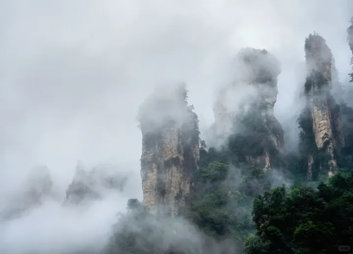 Misty vertical stone peaks photographed on a Zhangjiajie trip