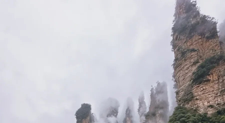 Misty forested sandstone pillars and a sheer rock face, without people
